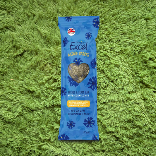 Burgess Excel Forage & Feast Hay Bar with Cornflower
