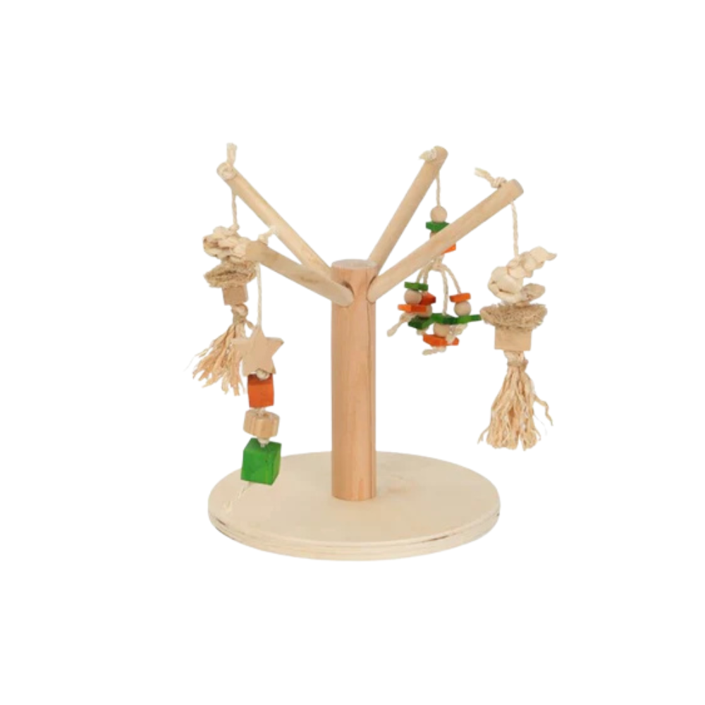 nature island activity fun tree