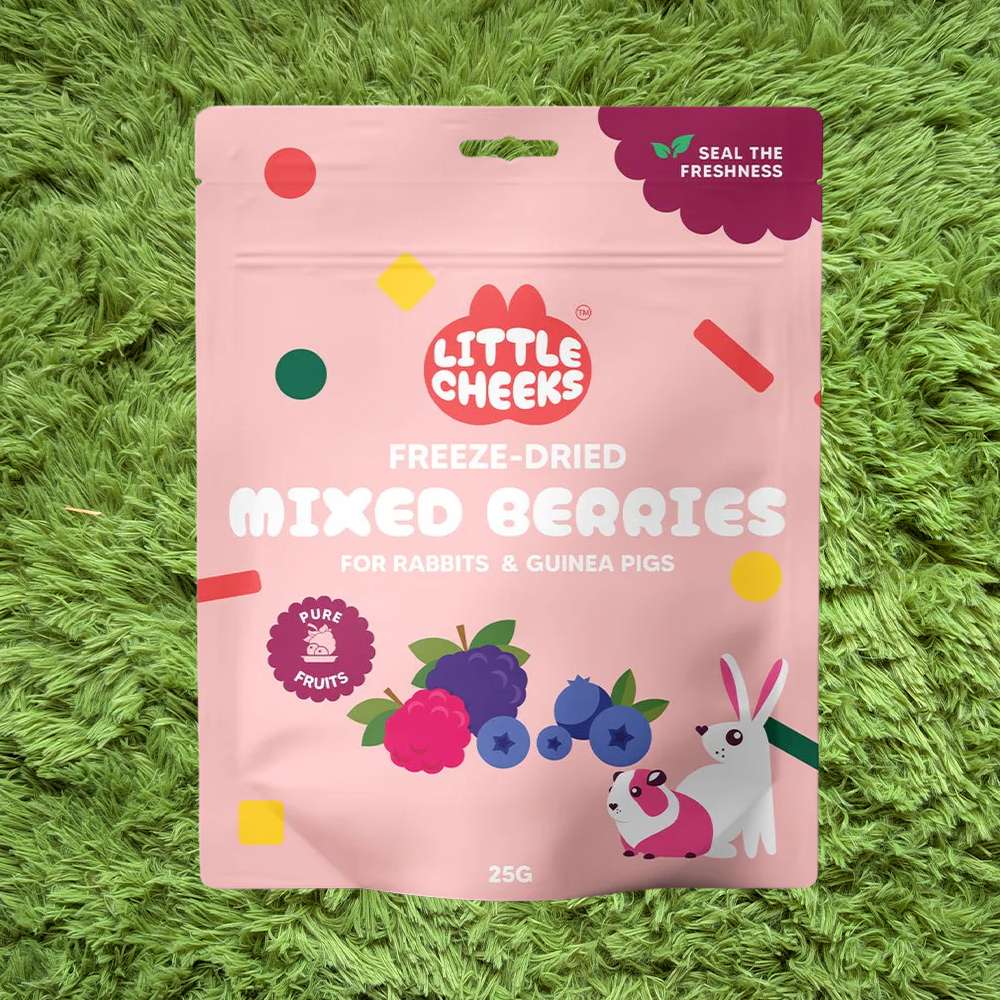 little cheeks freeze-dried mixed berries