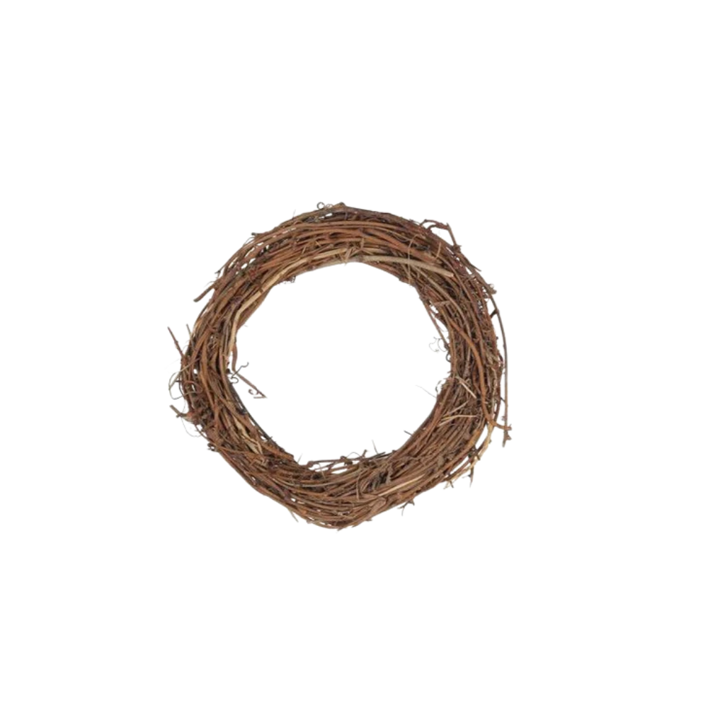 vine circle toy