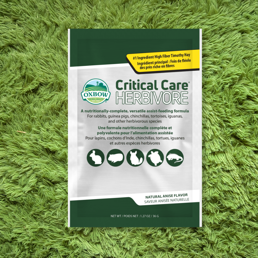 oxbow critical care herbivore anise 36g (small)
