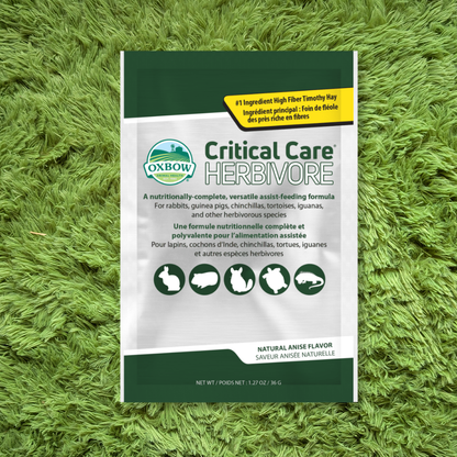 Oxbow Critical Care Herbivore Anise 36g (Small)