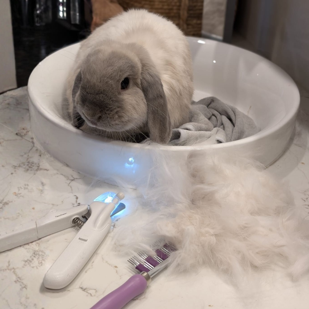 original bunny buster comb brush