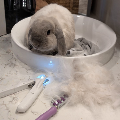 Original Bunny Buster Comb Brush