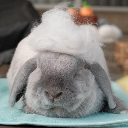 Original Bunny Buster Comb Brush