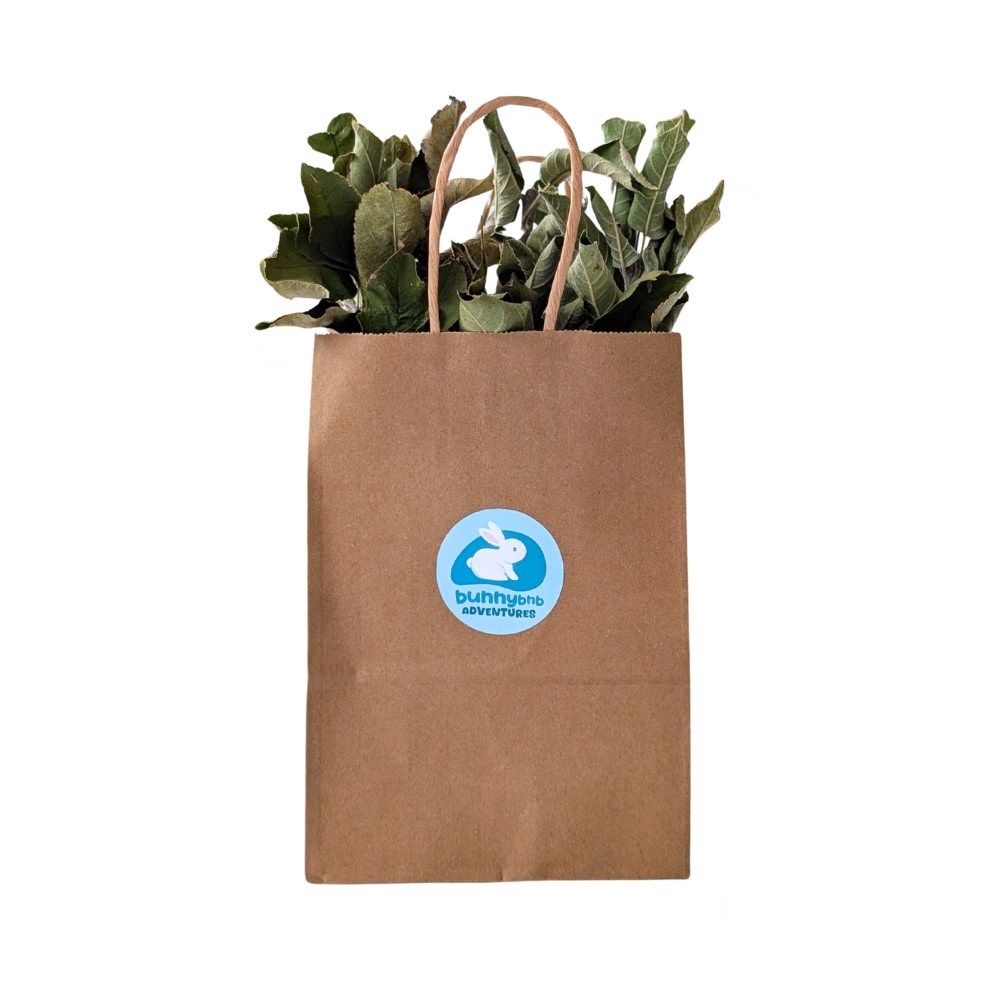 wild apple harvest bag
