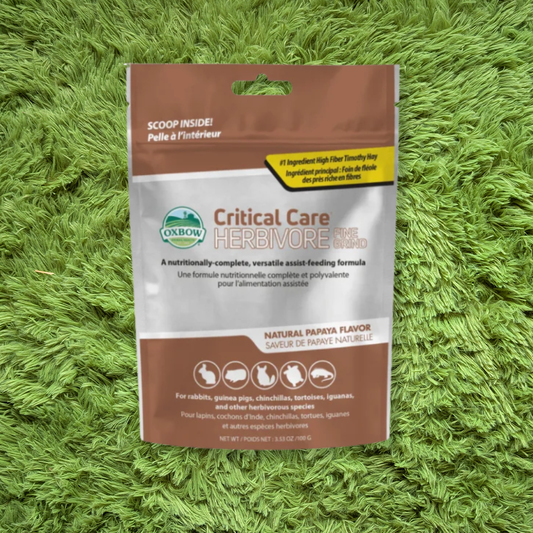 Oxbow Papaya Critical Care - Large