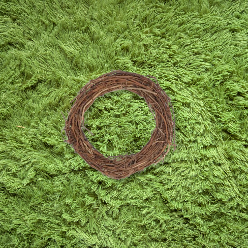 vine circle toy