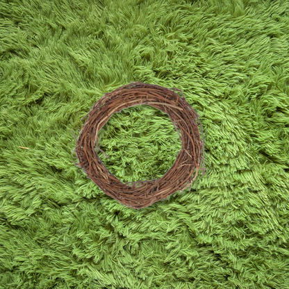 Vine Circle Toy
