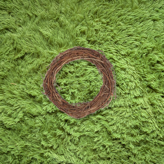Vine Circle Toy