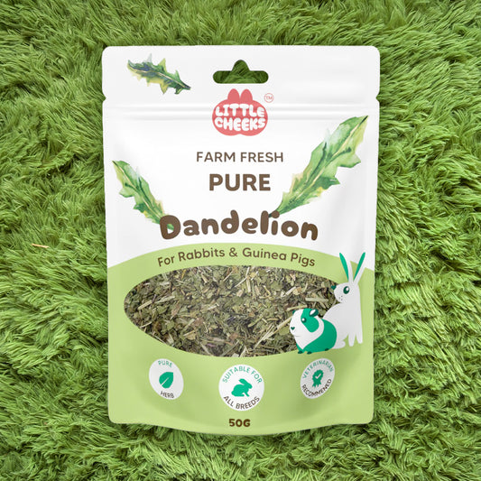 Little Cheeks Farm Fresh Pure Dandelion Leaf 50g