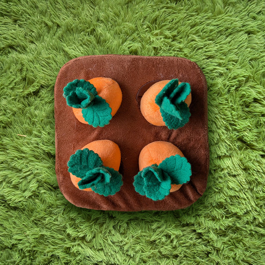Plush Carrot Patch Toy - Small