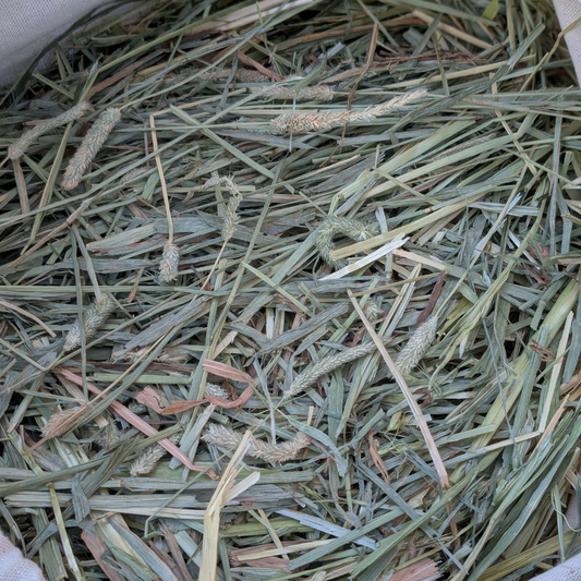Seasonal Mixed Timothy Oaten Forage Hay Box - Large