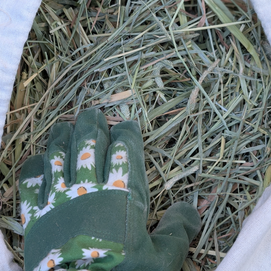 Seasonal Mixed Timothy Oaten Forage Hay Bag - Large