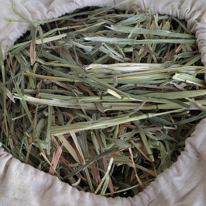 Seasonal Oaten Forage Hay Bag - Sample