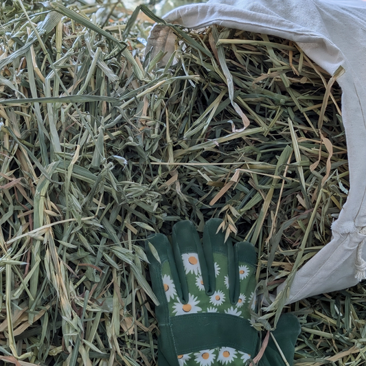 Seasonal Oaten Forage Hay Bag - Sample
