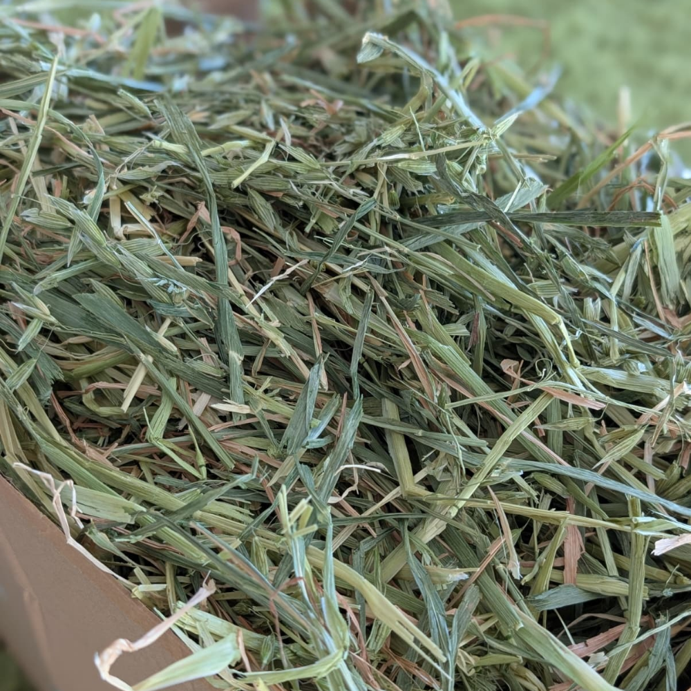 season select oaten hay box - large