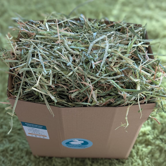 Seasonal Mixed Timothy Oaten Hay Box - Large