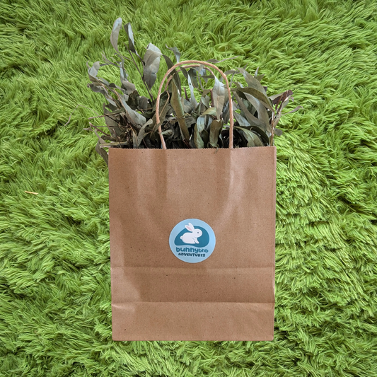 Wild Willow Harvest Bag