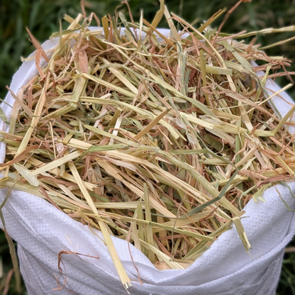 Bedding & Litter Hay - Medium