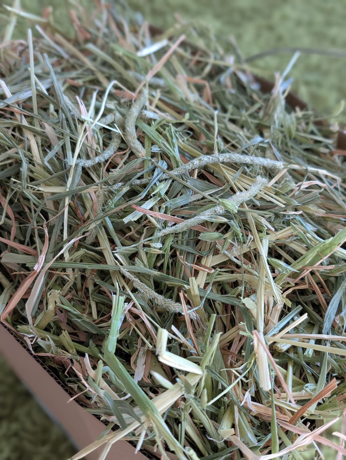 seasonal mixed timothy oaten hay box - large