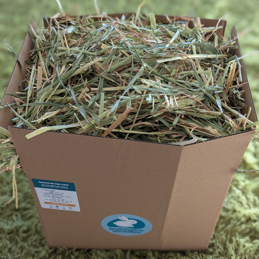 Natural Blend Oaten Hay Box - Large