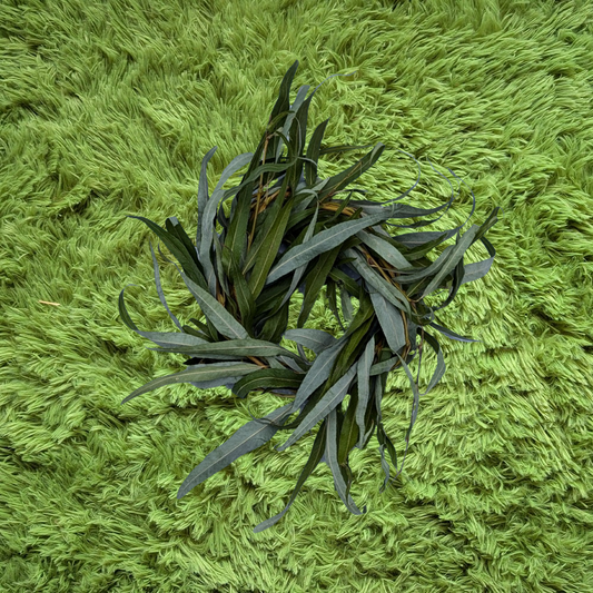 Handmade Wild Willow Wreath