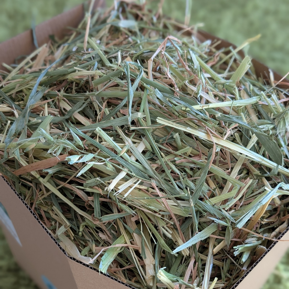 natural blend oaten hay box - large