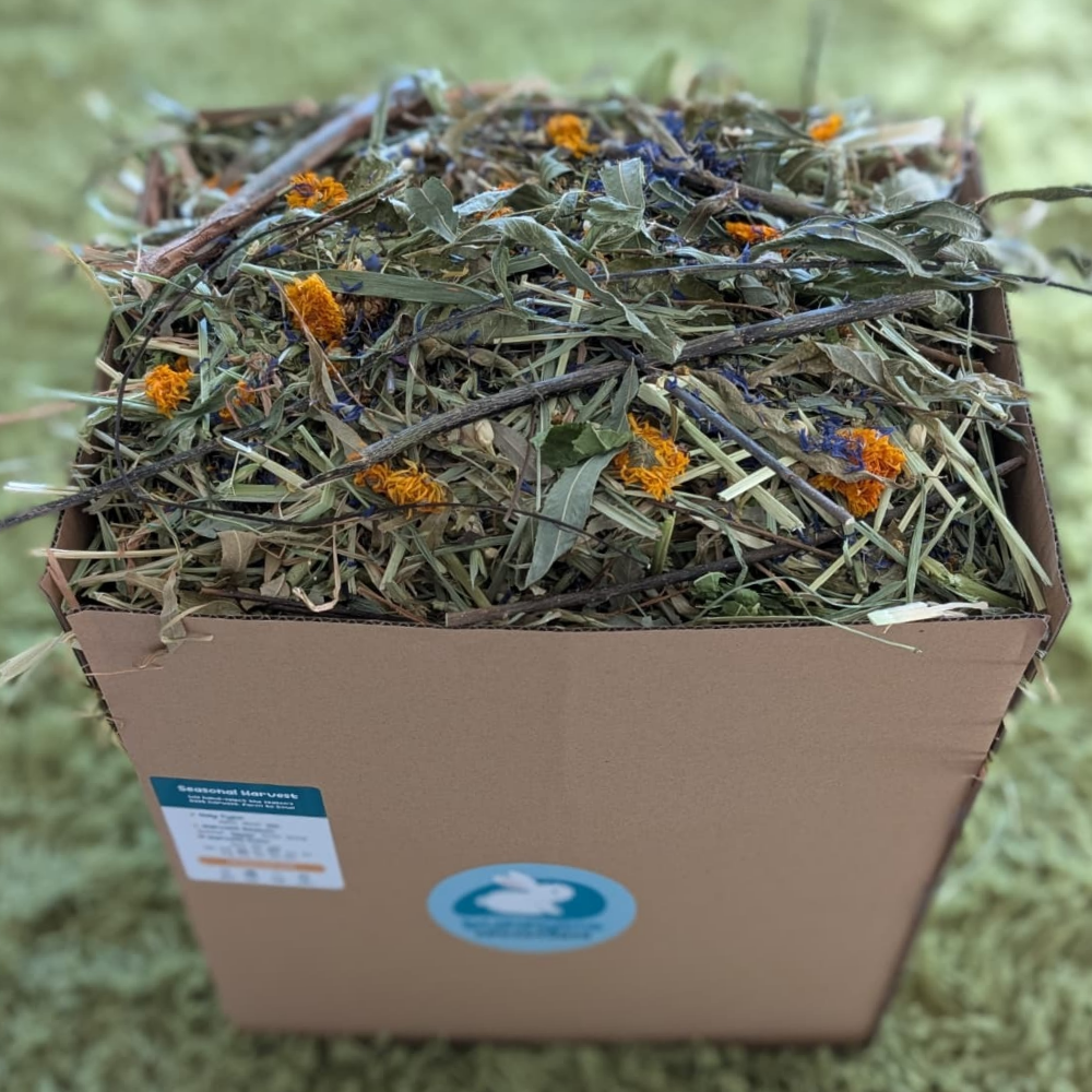 seasonal wild hay box - large
