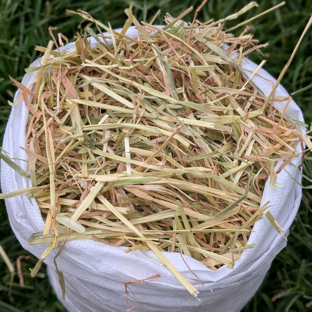 bedding & litter hay - medium