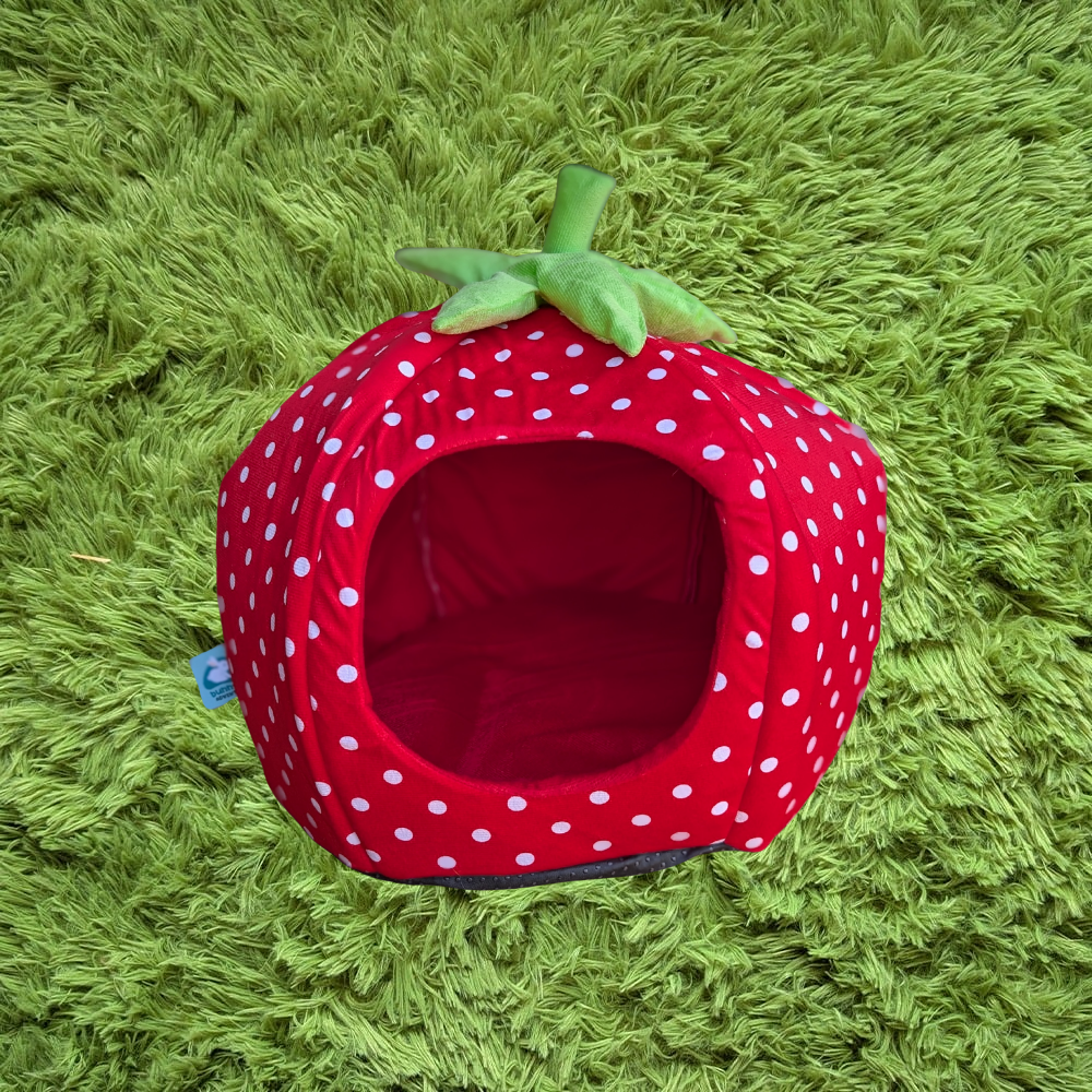 strawberry pet cave - bunnybnb design
