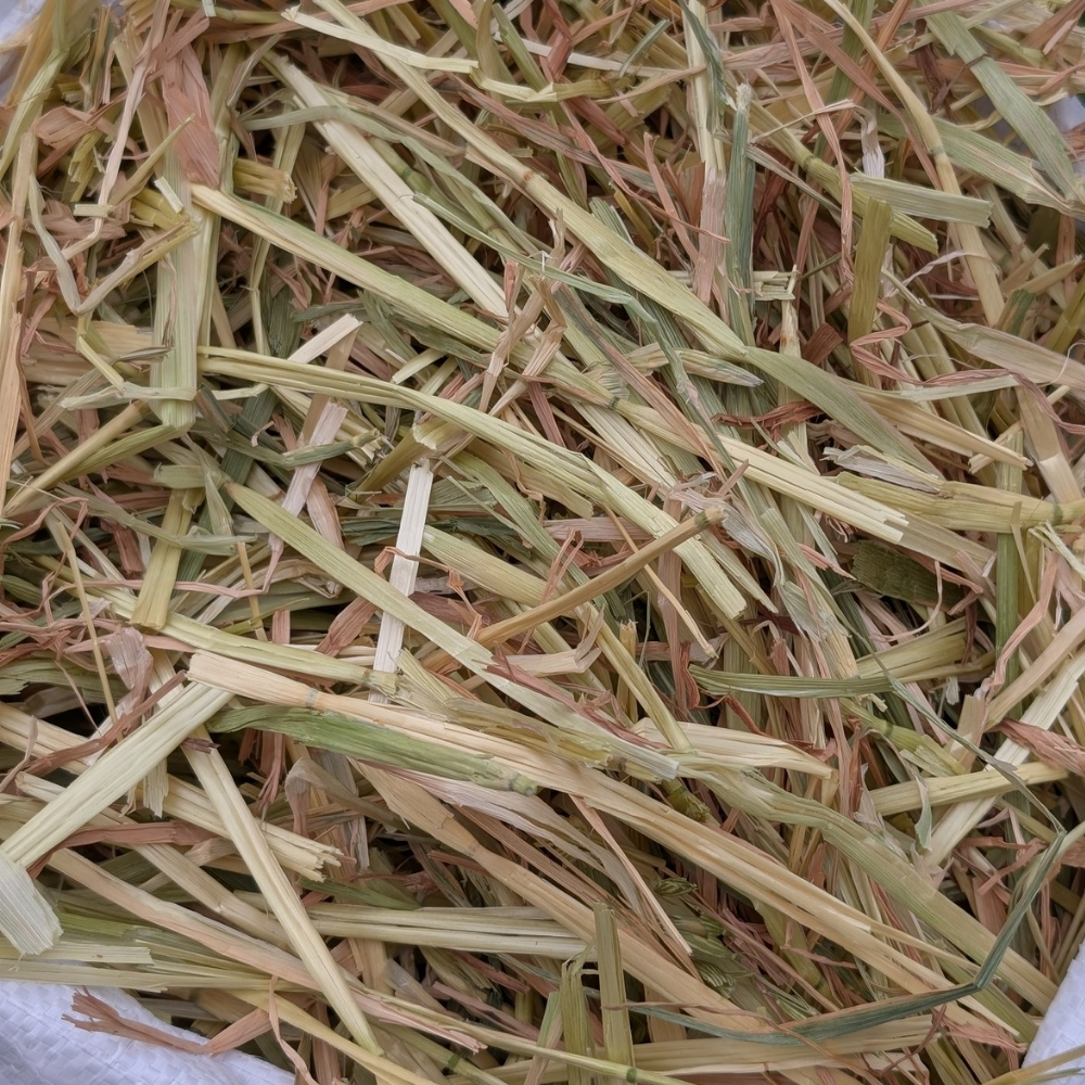 bedding & litter hay - medium