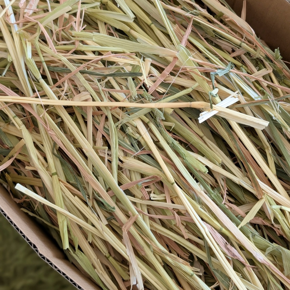 bedding & litter straw hay - medium