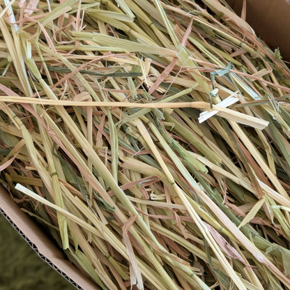 Bedding & Litter Straw Hay - Medium